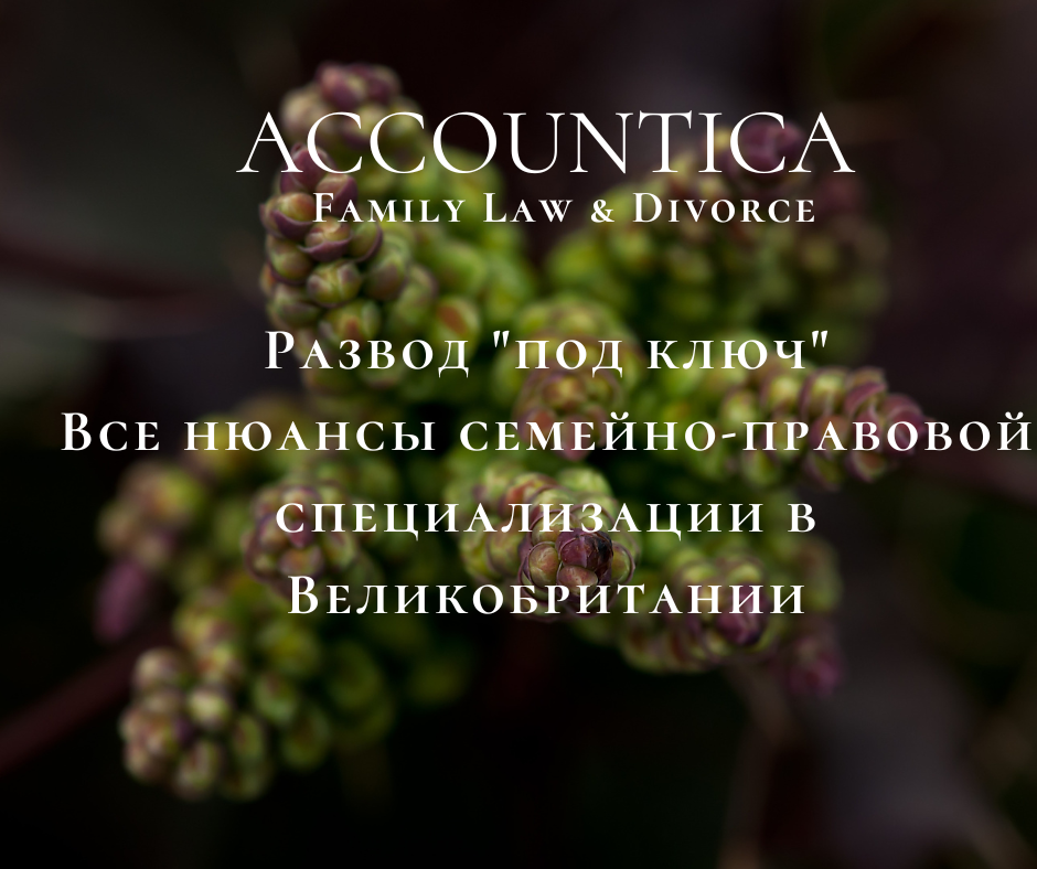 Как правильно оформить развод, раздел имущества, установить порядок общения с детьми, взыскать алименты в Великобритании?